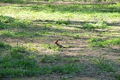 0210-Reis Zuid-Afrika2007